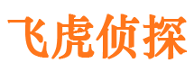 麻城侦探调查公司